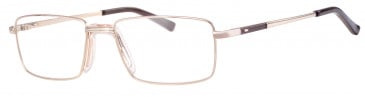 Ferucci FE2021 glasses in Gold