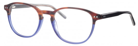 Synergy SYN6020 glasses in Brown/Blue