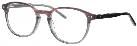 Synergy SYN6020 glasses in Brown/Green