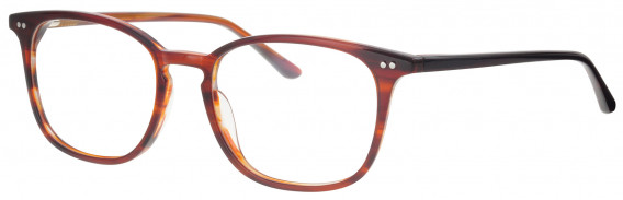 Synergy SYN6023 glasses in Brown