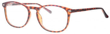 Visage VI4545 glasses in Havana