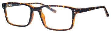 Visage VI4569 glasses in Havana