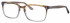 Synergy SYN6005 glasses in Brown/Grey