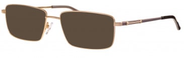 Ferucci FE2015 sunglasses in Gold
