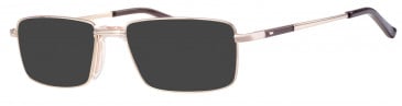 Ferucci FE2021 sunglasses in Gold