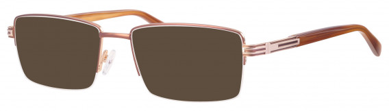 Ferucci FE2024 sunglasses in Brown/Gold