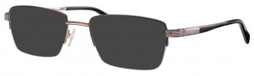 Ferucci Titanium FE720 sunglasses in Brown/Gold