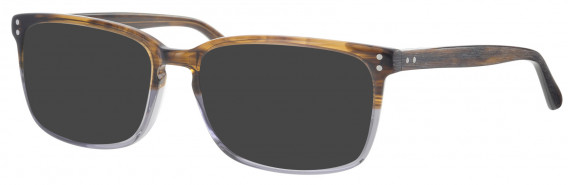 Synergy SYN6005 sunglasses in Brown/Grey