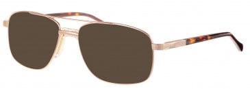 Visage Elite VI4513 sunglasses in Gold