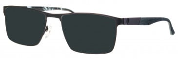Colt CO3527 sunglasses in Black