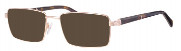 Ferucci FE2025 sunglasses in Gold