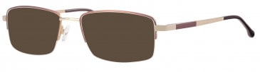 Ferucci Titanium FE716 sunglasses in Brown/Gold
