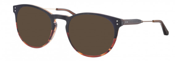 Synergy SYN6019 sunglasses in Black/Brown