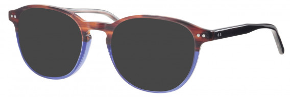 Synergy SYN6020 sunglasses in Brown/Blue
