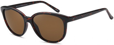 SFE-10253 sunglasses in Havana