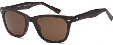 SFE-10249 sunglasses in Matt Havana