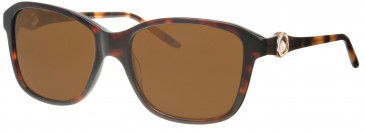 Joia JS3000 sunglasses in Havana