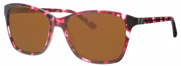 Ferrucci Solaire FS578 sunglasses in Purple Mottle