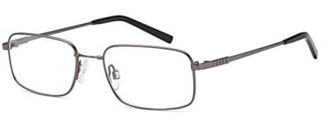 SFE-10436 glasses in Grey