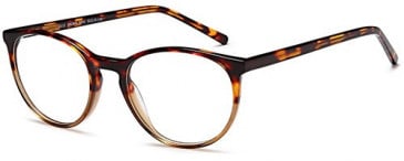SFE-10379 glasses in Brown Demi