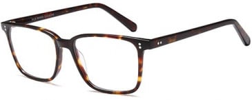 SFE-10385 glasses in Havana