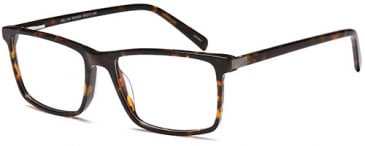 SFE-10424 glasses in Havana