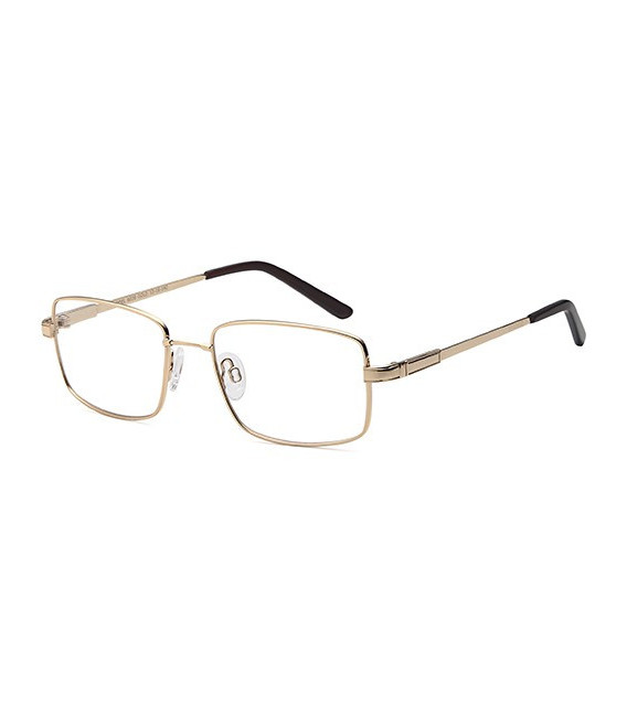 SFE-10433 glasses in Gold