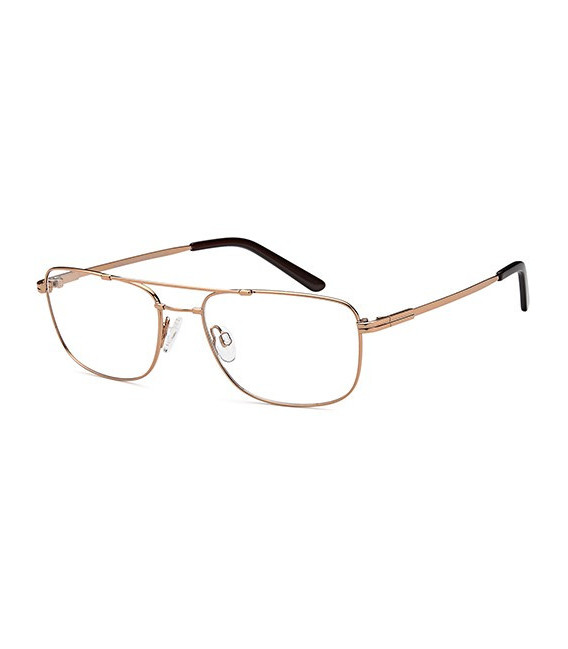 SFE-10435 glasses in Bronze