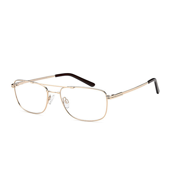 SFE-10435 glasses in Gold