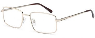 SFE-10449 glasses in Gold