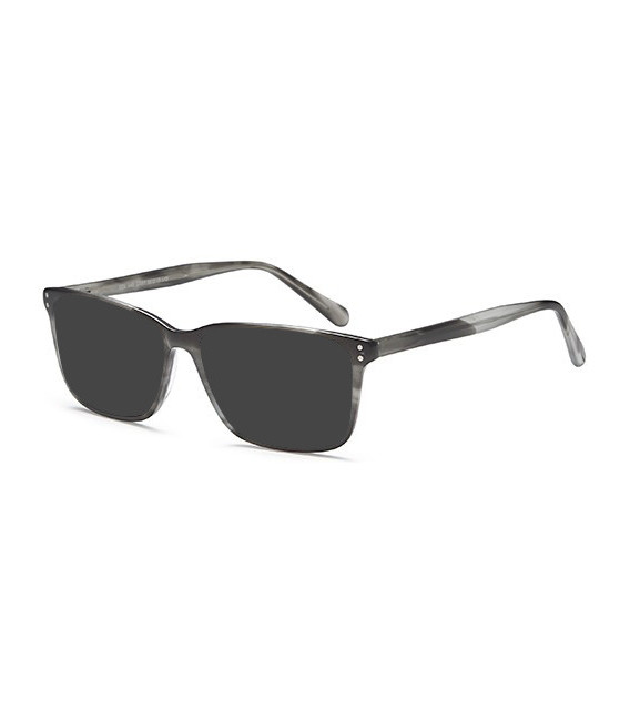 SFE-10420 sunglasses in Grey