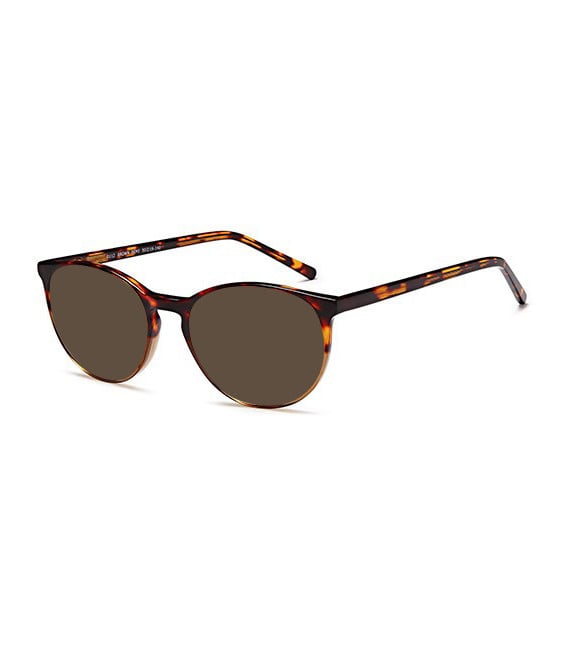 SFE-10379 sunglasses in Brown Demi