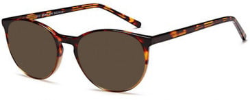 SFE-10379 sunglasses in Brown Demi