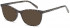 SFE-10463 sunglasses in Grey