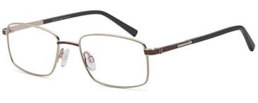 Sakuru SAK1002T glasses in Gold