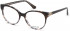 Guess GU2695 glasses in Havana/Other