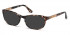 Guess GU2688-52 sunglasses in Beige/Other