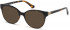 Guess GU2695 sunglasses in Dark Havana