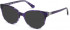Guess GU2695 sunglasses in Violet/Other