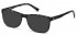 Timberland TB1599-56 sunglasses in Havana/Other
