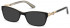 Guess GU2677-50-50 sunglasses in Shiny Black