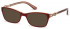 Guess GU2677-50-50 sunglasses in Shiny Bordeaux