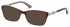 Guess GU2677-50-50 sunglasses in Violet/Other