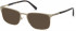 Timberland TB1620-58 sunglasses in Gold