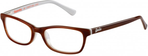 Superdry SDO-ASHLEIGH glasses in Gloss Horn/Brown