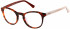 Superdry SDO-CHIE glasses in Gloss Tortoise/Bone/Horn