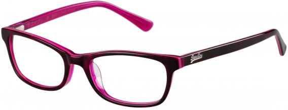 Superdry SDO-ASHLEIGH glasses in Gloss Dark Tortoise/Pink