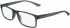 Calvin Klein CK19569 glasses in Matte Crystal Light Green