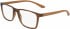 Calvin Klein CK19573 glasses in Crystal Amber