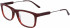 Calvin Klein CK19707 glasses in Oxblood/Crystal Red Gradient